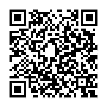 QR code for FIS4333
