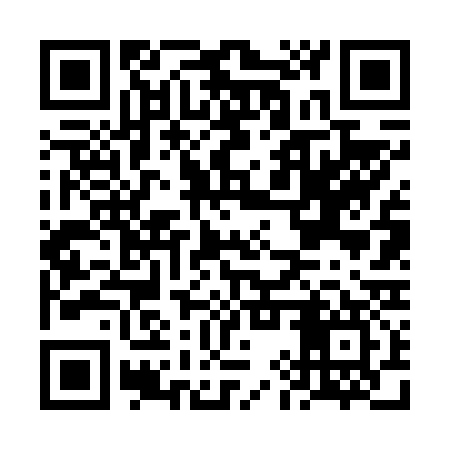 QR code for FIV637
