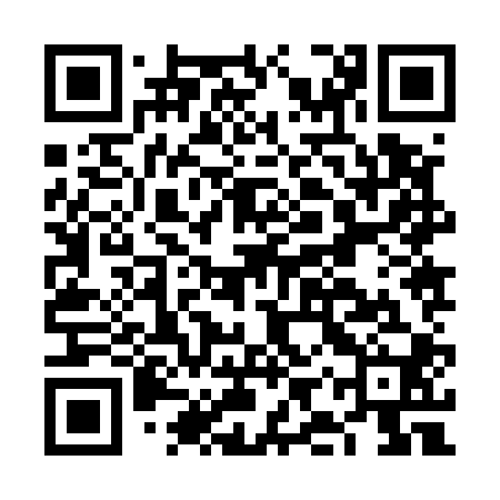 QR code for FIZ500