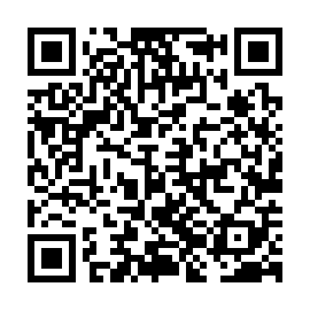 QR code for FJL309