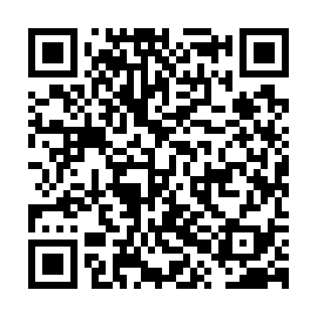 QR code for FPI739