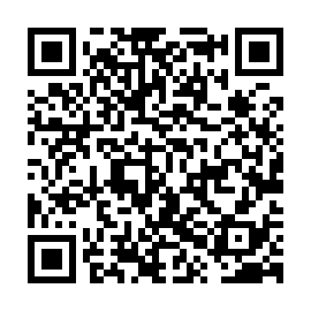 QR code for FPL938