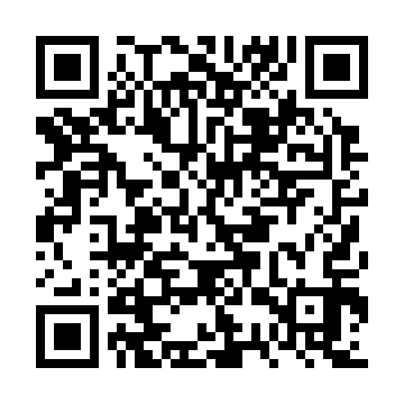 QR code for FSP313