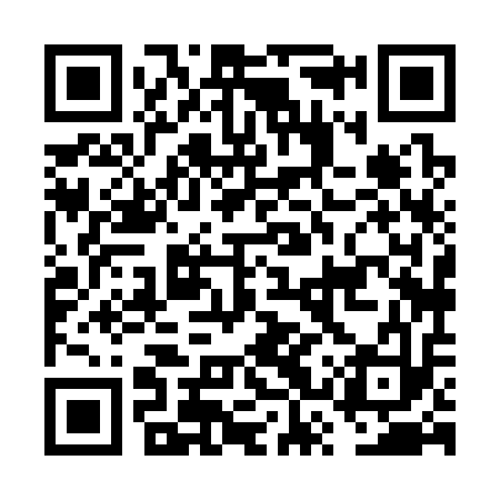 QR code for FSX313