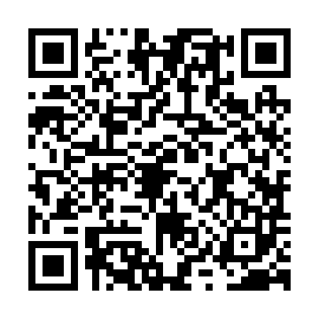 QR code for FYZ2838