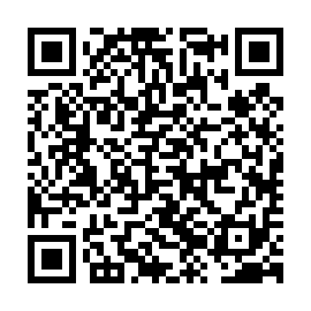 QR code for FZB411