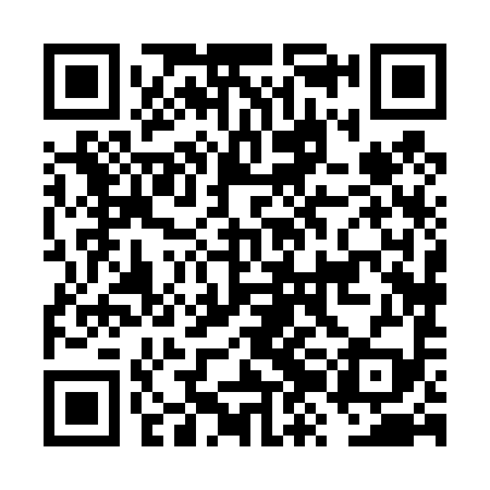 QR code for FZH499