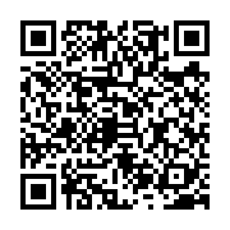 QR code for FZI6295