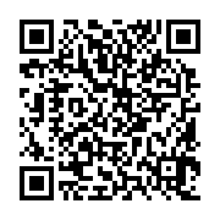QR code for FZM384
