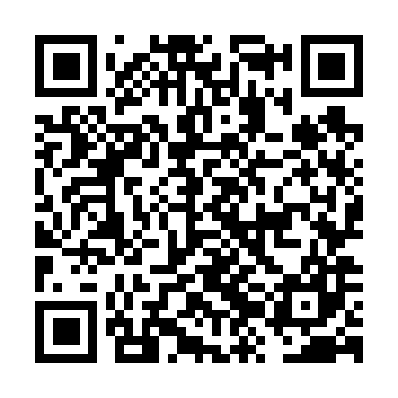 QR code for FZO687