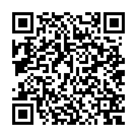 QR code for FZZ7238