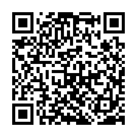 QR code for GEB333