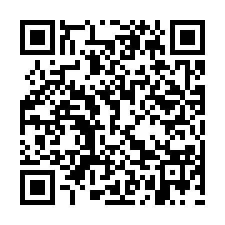 QR code for GGA313