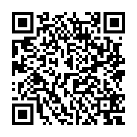 QR code for GNI0295