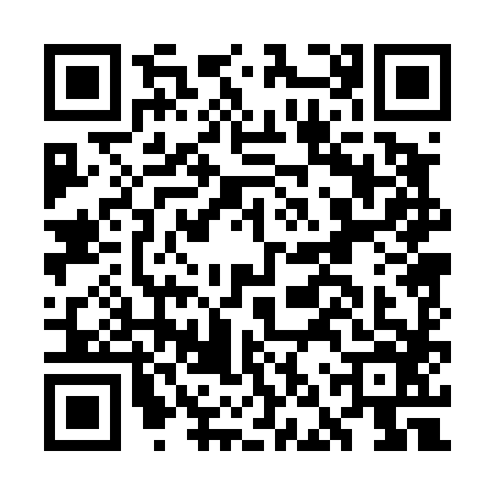 QR code for GNP4869