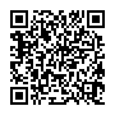 QR code for GQG380