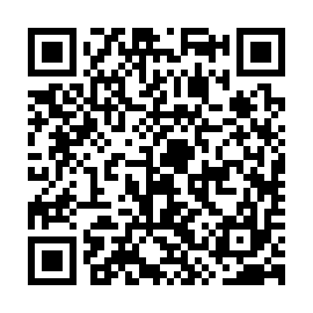 QR code for GSR317