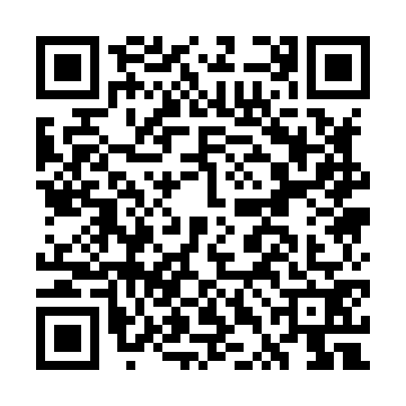QR code for GTA8729