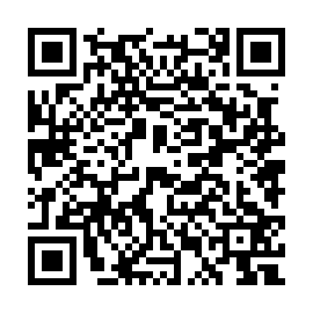 QR code for GUN0234