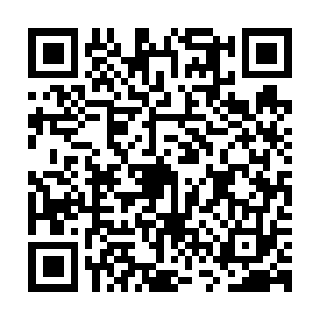 QR code for GVU6738