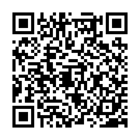 QR code for GYS2010