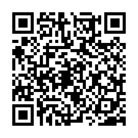 QR code for GYZ0599