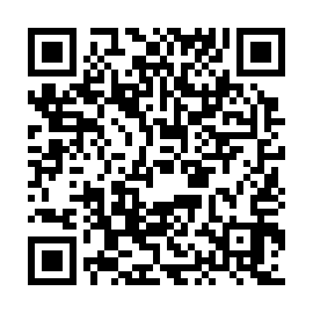 QR code for HAN313