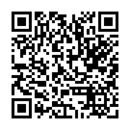 QR code for HCO387