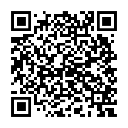 QR code for HDG601