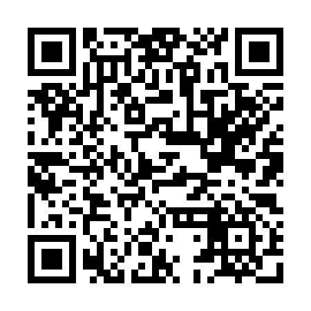 QR code for HDN397