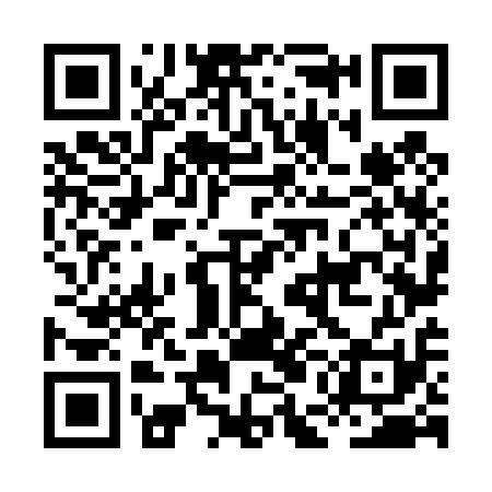 QR code for HEN411