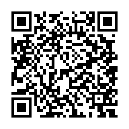 QR code for HJN0533