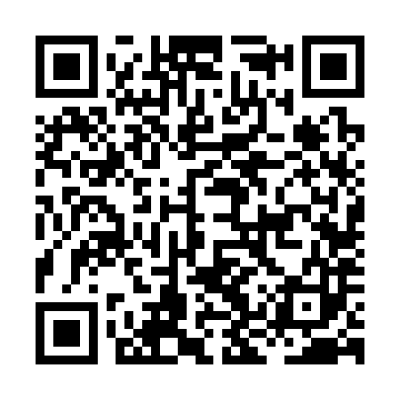 QR code for HKV383