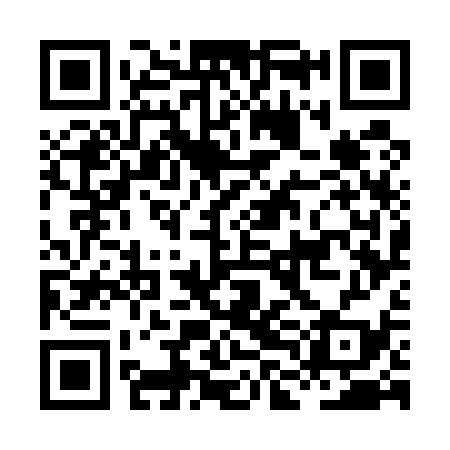 QR code for HLG539