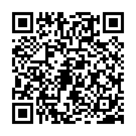 QR code for HLZ0313