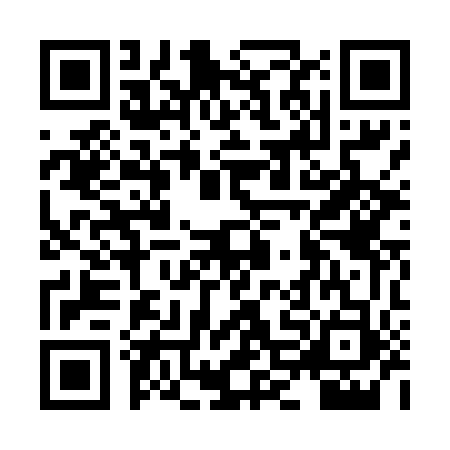 QR code for HNH4533