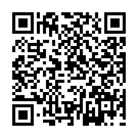 QR code for HNY3391