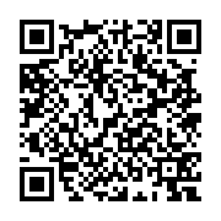QR code for HOK0738