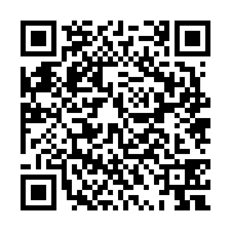 QR code for HPJ6384