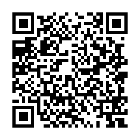 QR code for HPM0991