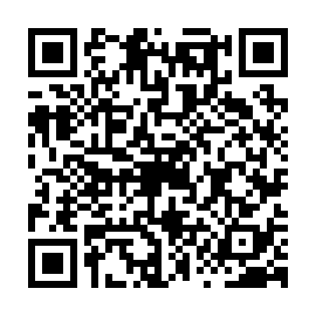 QR code for HQN2386