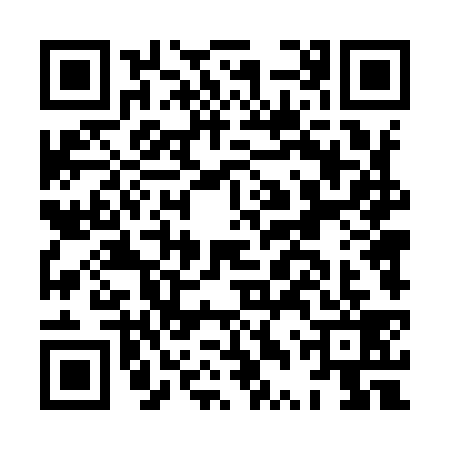 QR code for HTT9393