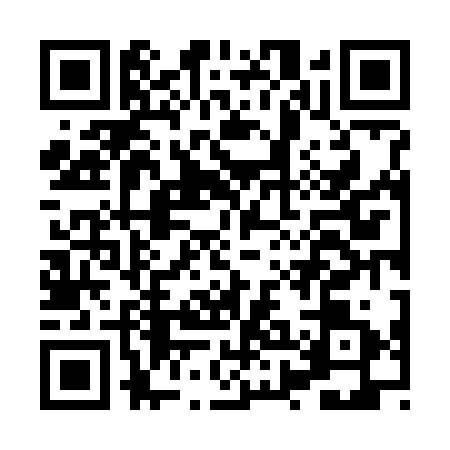 QR code for HXN7317