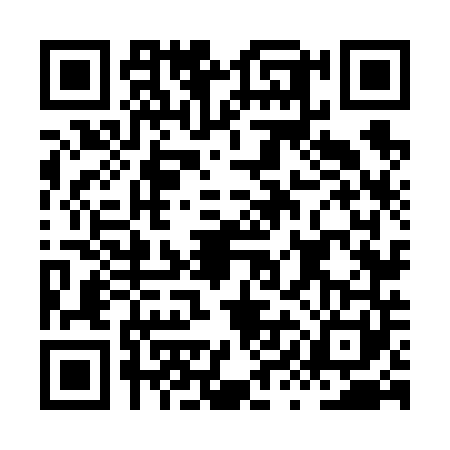 QR code for HYN6416