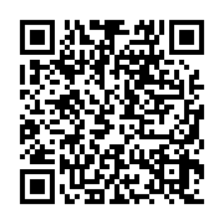 QR code for HYQ0383