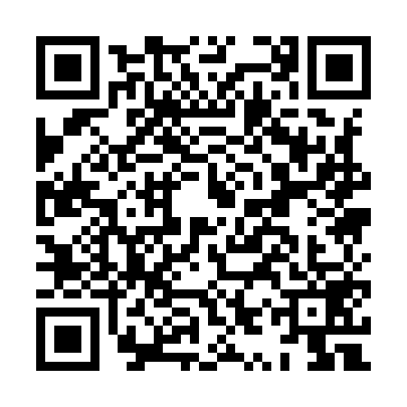 QR code for HYQ9594