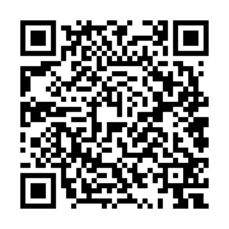 QR code for HYV6221