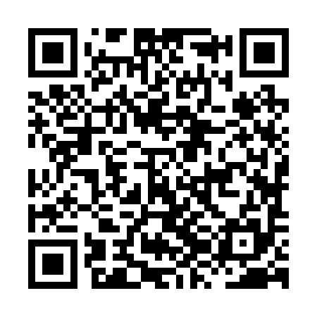 QR code for HZJ295