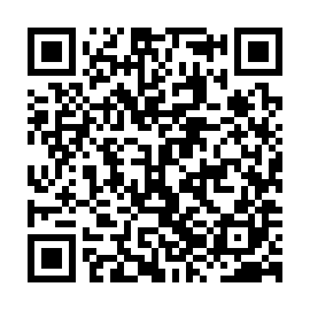 QR code for HZM380