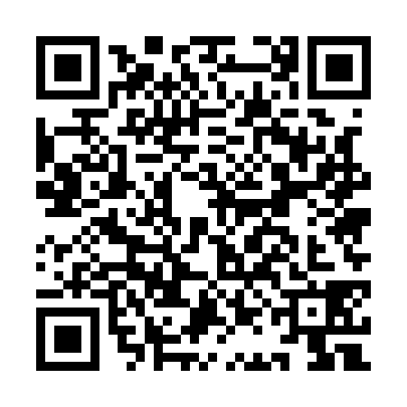 QR code for IAE1384
